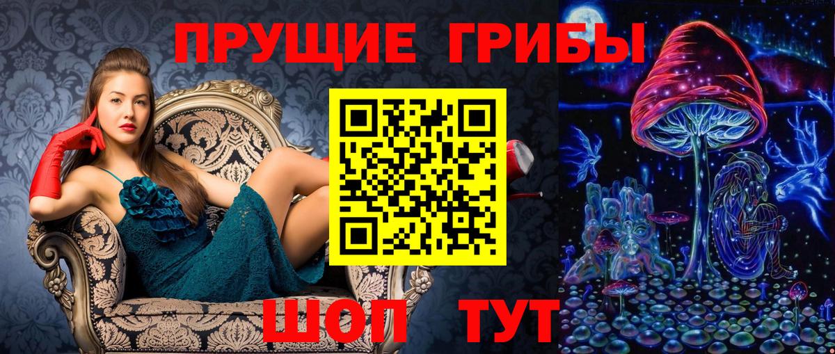 Псилоцибиновые грибы Psilocybine cubensis  Вход с VPN  Псилоцибиновые грибы Cubensis  Новокуйбышевск 